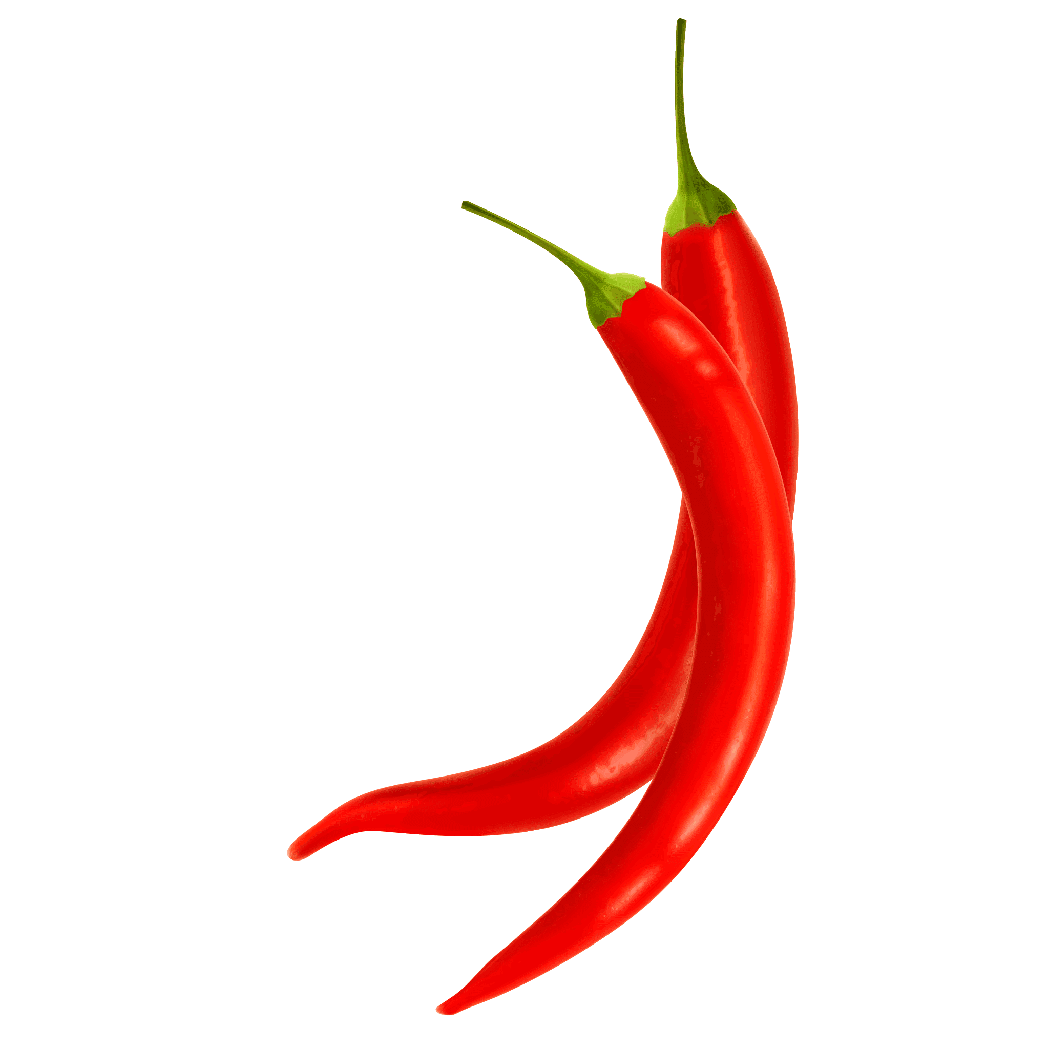 Cabe Merah Biasa