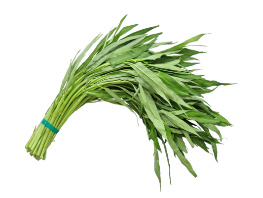 Kangkung